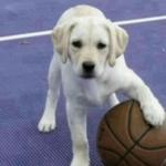 _ryno33's profile picture