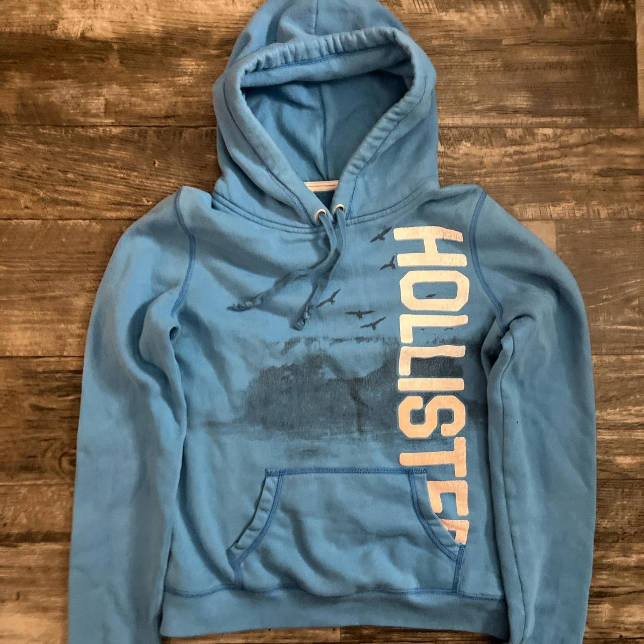 Y2K 2000s Hollister hoodie -Tagged size large... - Depop