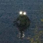 localforestcryptid's profile picture