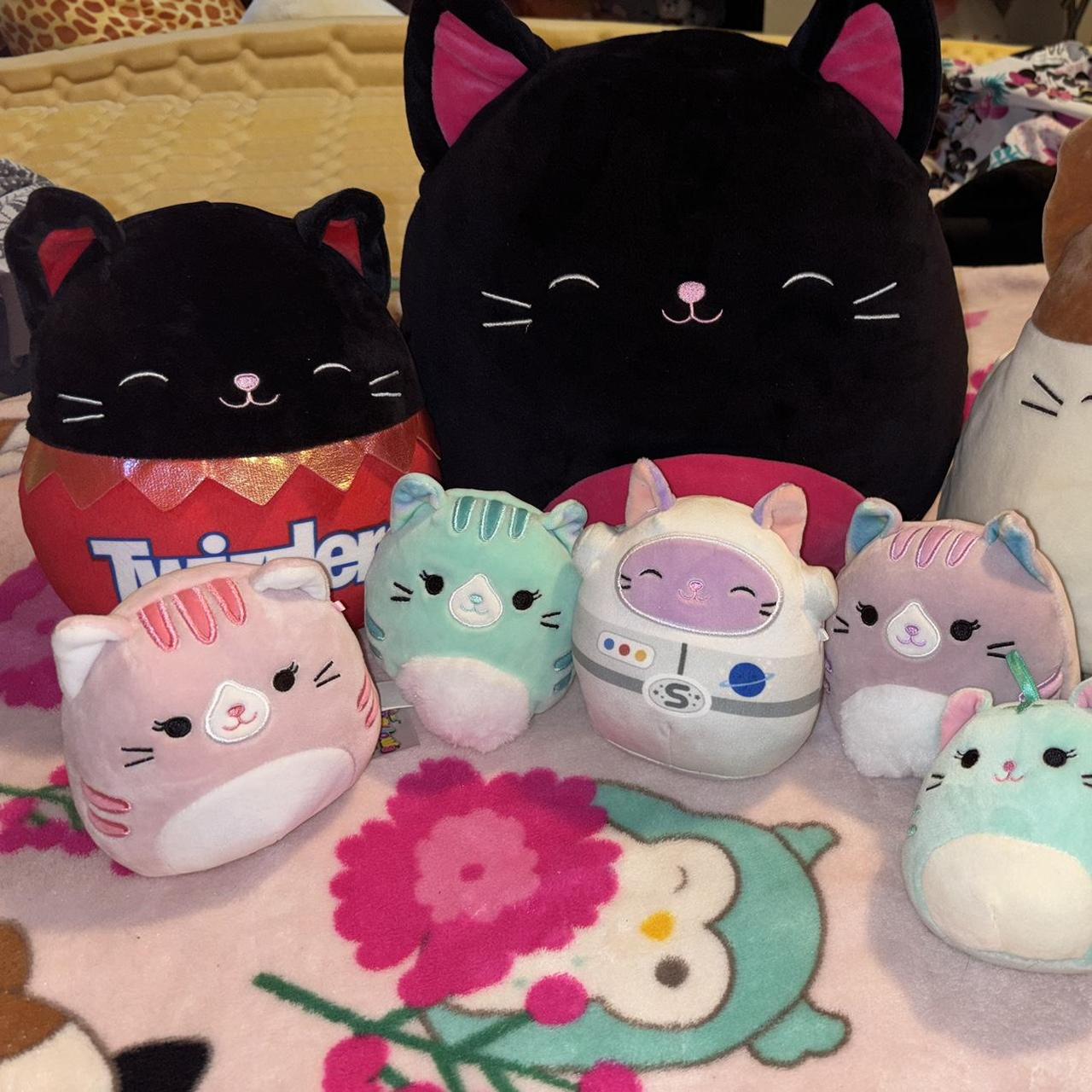 Cat sale Squishmallow bundle