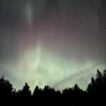 driftlessthrifts's profile picture