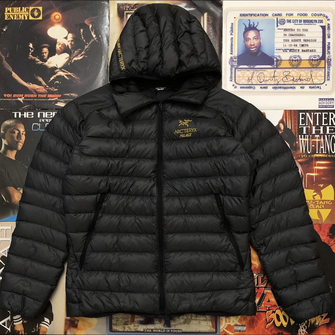 Palace Skateboards x Arc’Teryx Hooded Cerium LT...