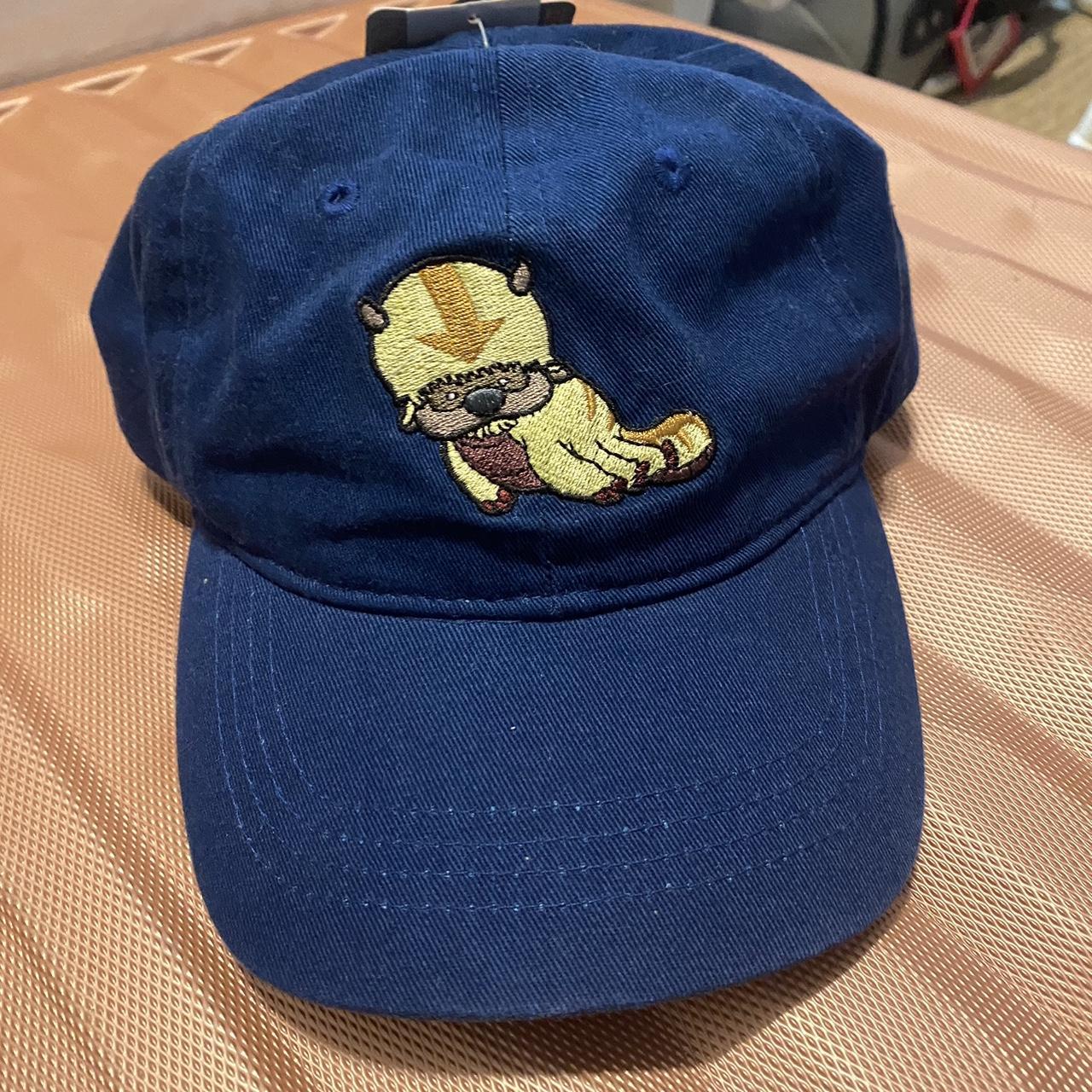 Box Lunch Avatar chino appa dad cap w/ Velcro back... Depop