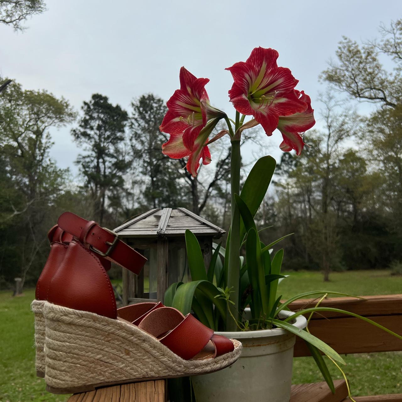 Universal Thread Women's Espadrilles - Red/Burgun… - image 2