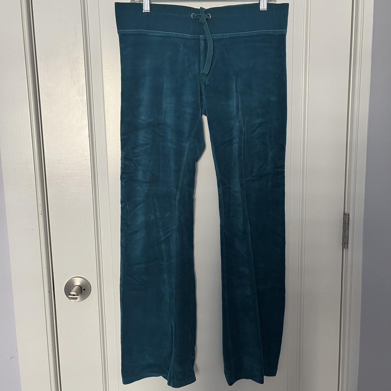 Express 2024 velvet pants