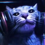 jujus_finds_'s profile picture