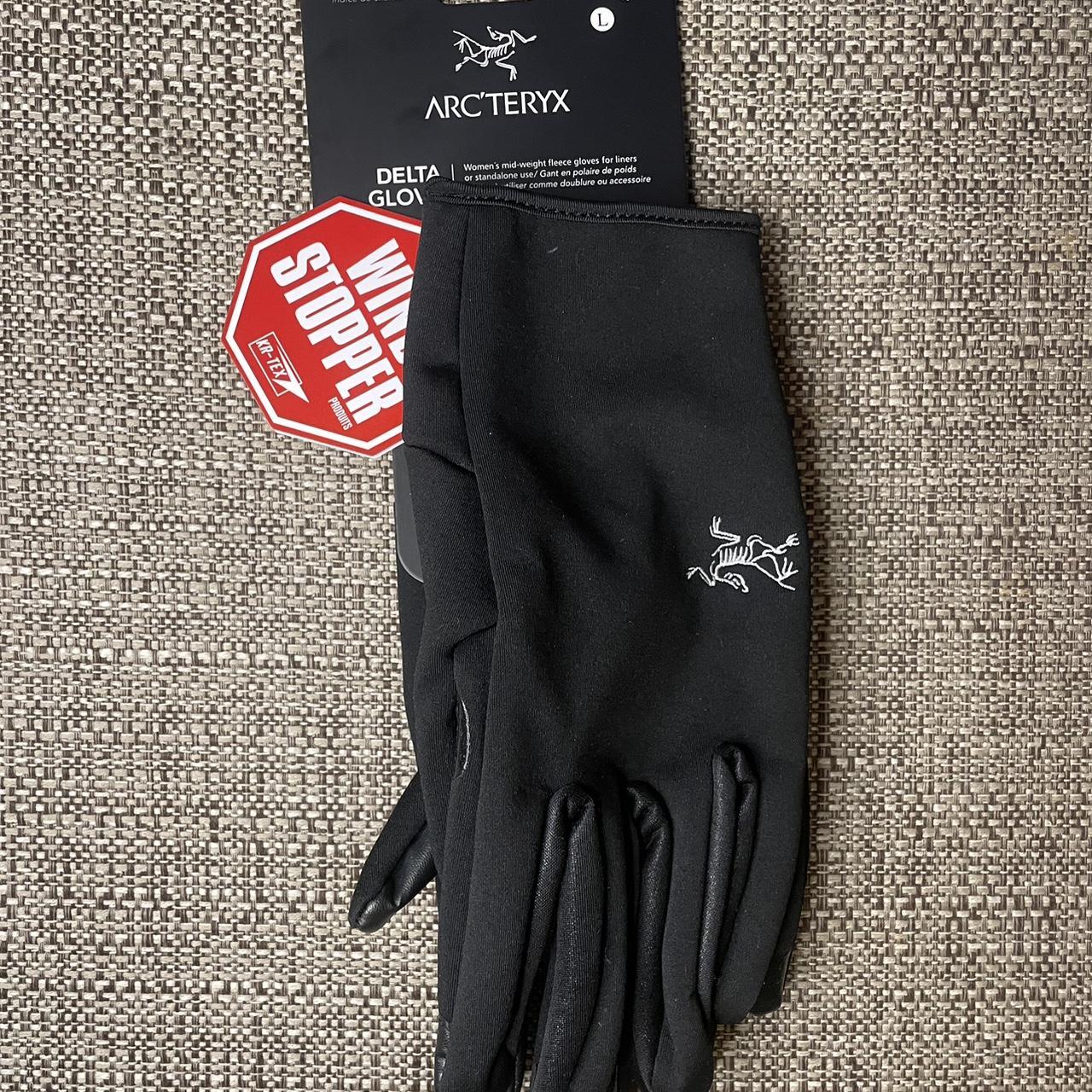 Arcteryx delta store glove