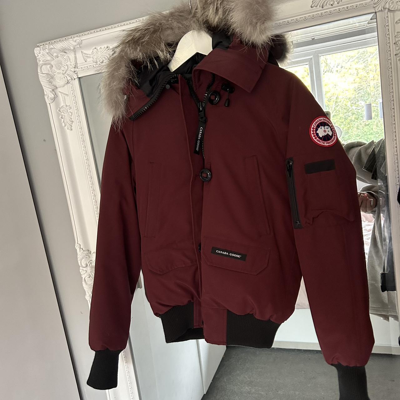 burgundy canada goose