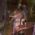 crt_tha_second's profile picture