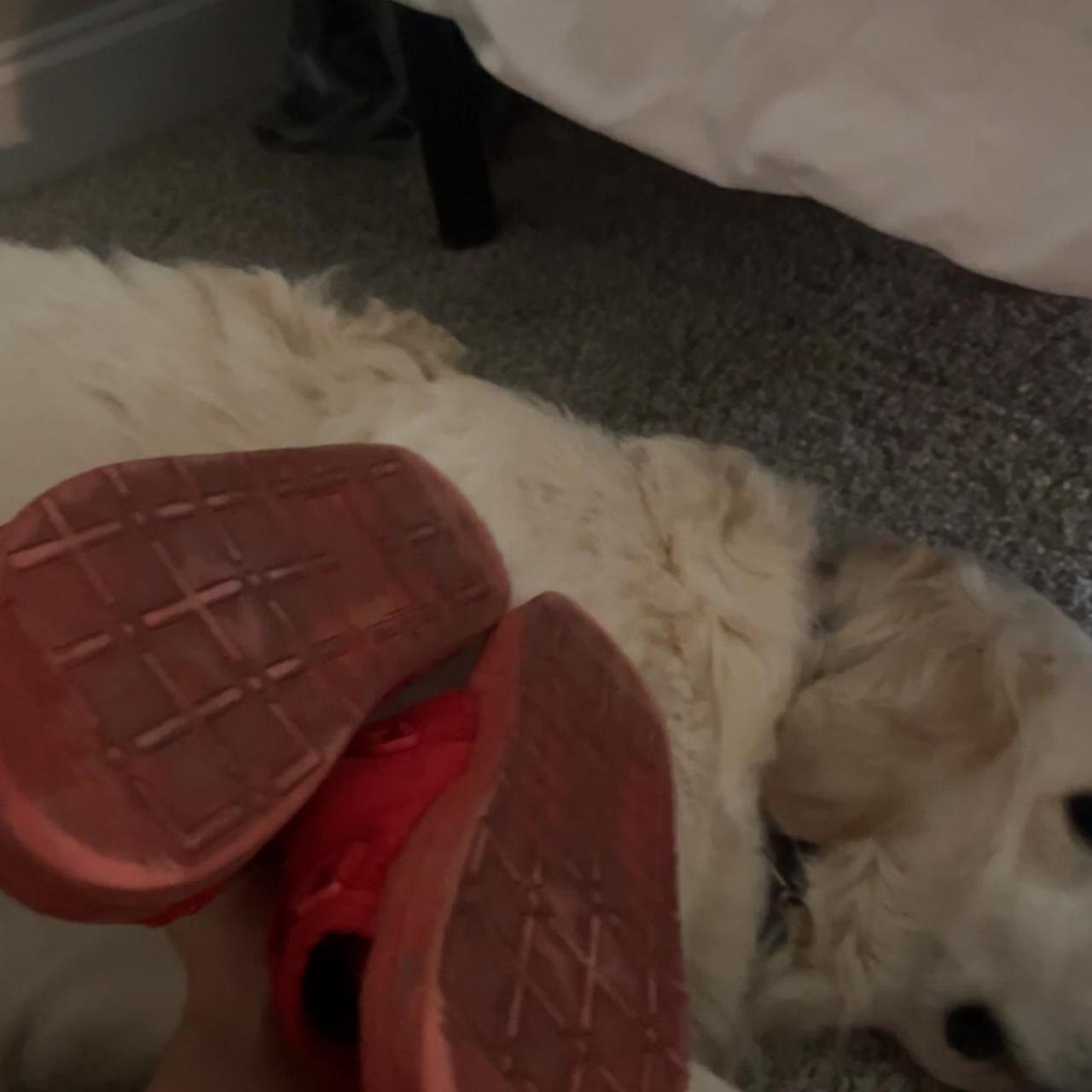 Men's Slides - Red - US 12 – Red Draco Slides Ret… - image 2