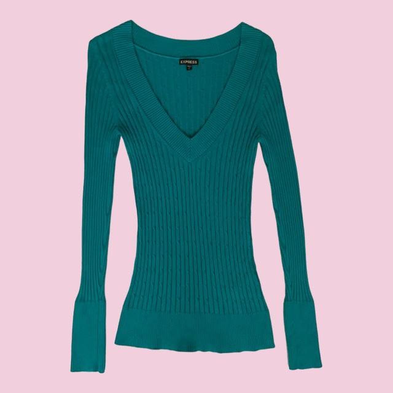 Express 2024 blue sweater