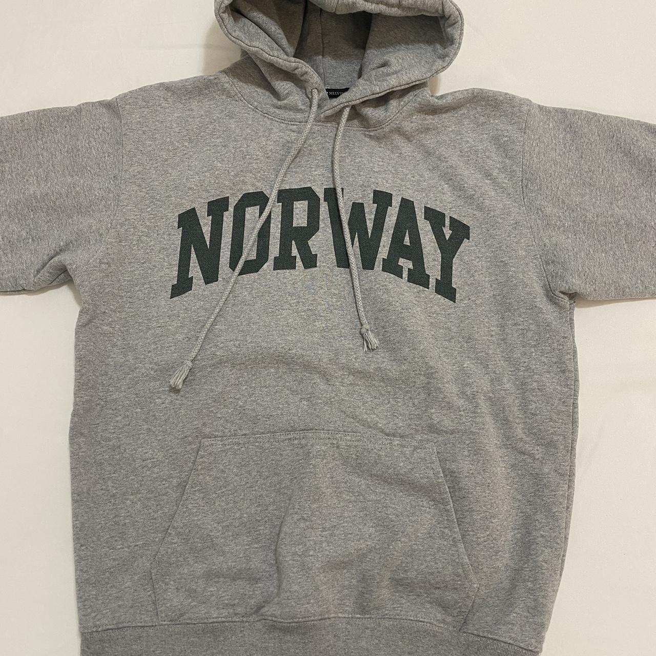 Brandy Melville Women's Green and Grey Hoodie Depop