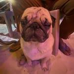 lennyellam's profile picture