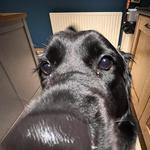 jessemillar's profile picture