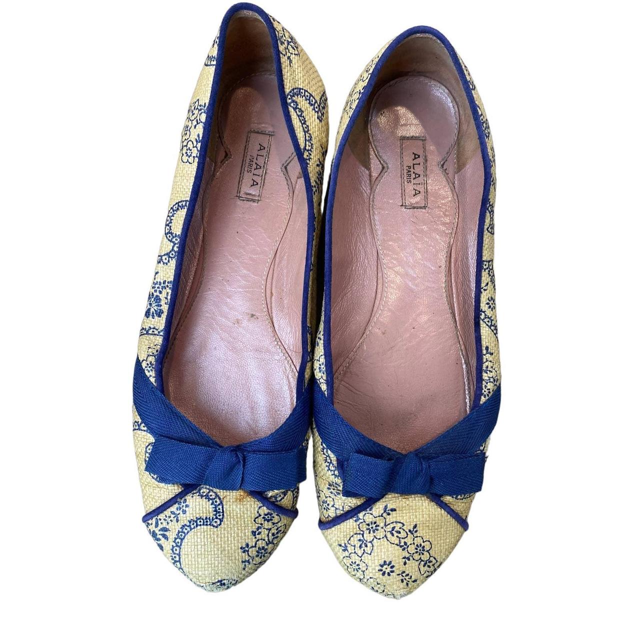 Blue best sale ballet slippers