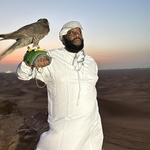 curatedsarchives's profile picture