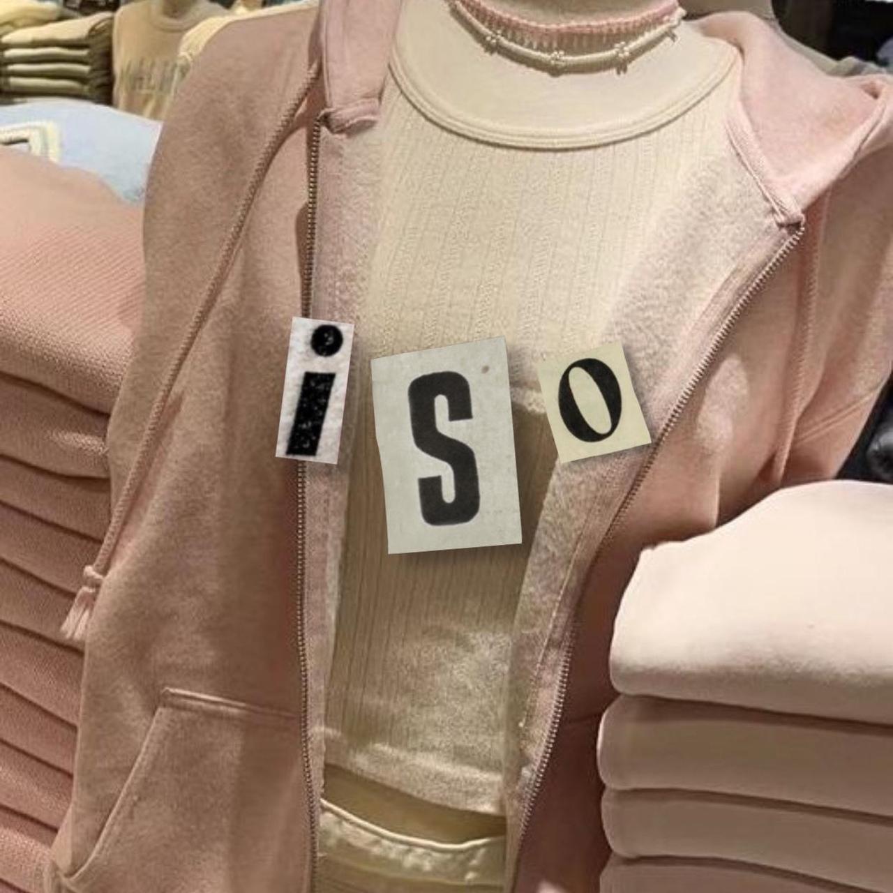 ISO!! •Brandy Melville Crystal Hoodie Light... Depop