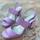 item listed by this_and_that_vintage