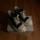 item listed by vampyrelifestyle