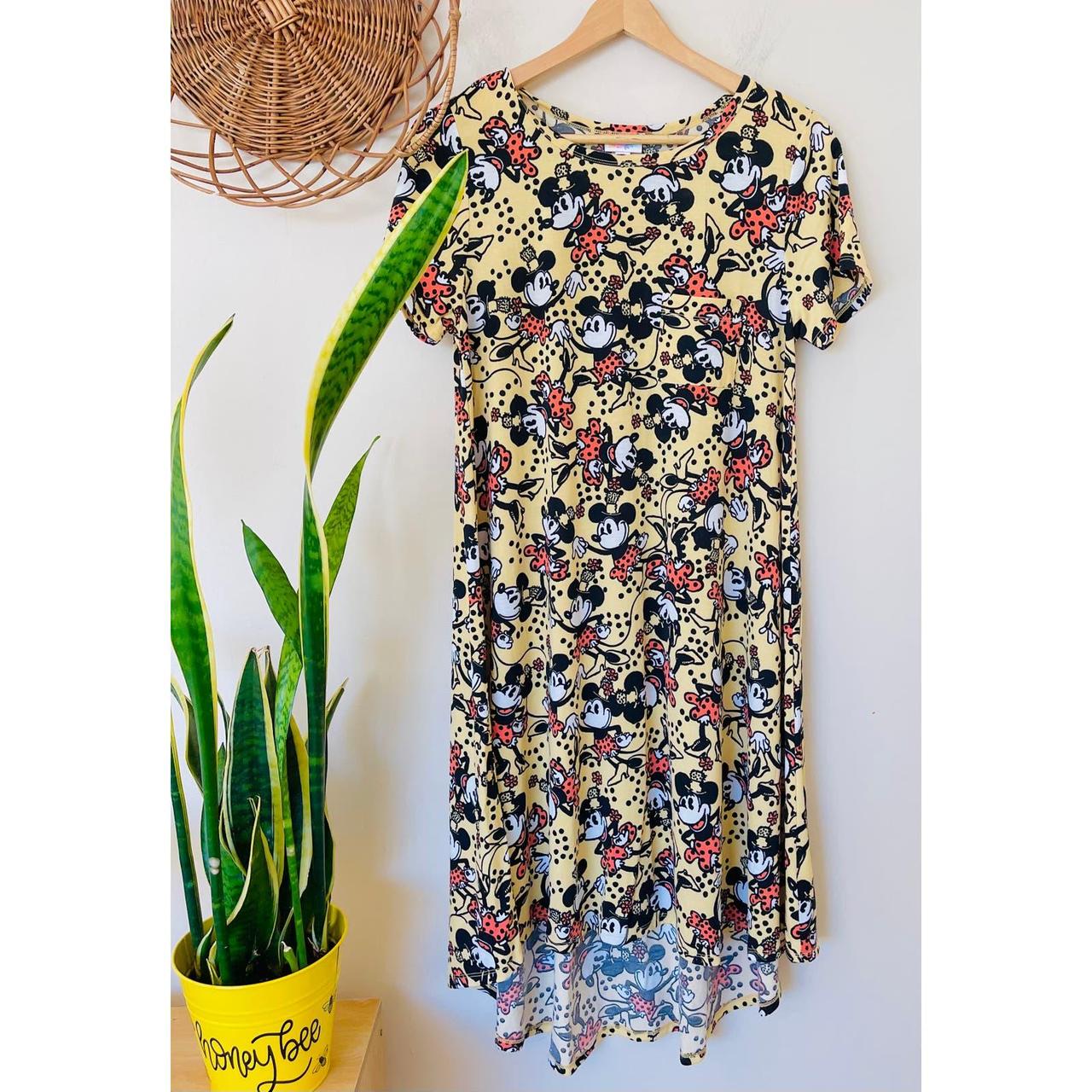 Lularoe best sale swing dress