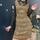 item listed by kat_easto