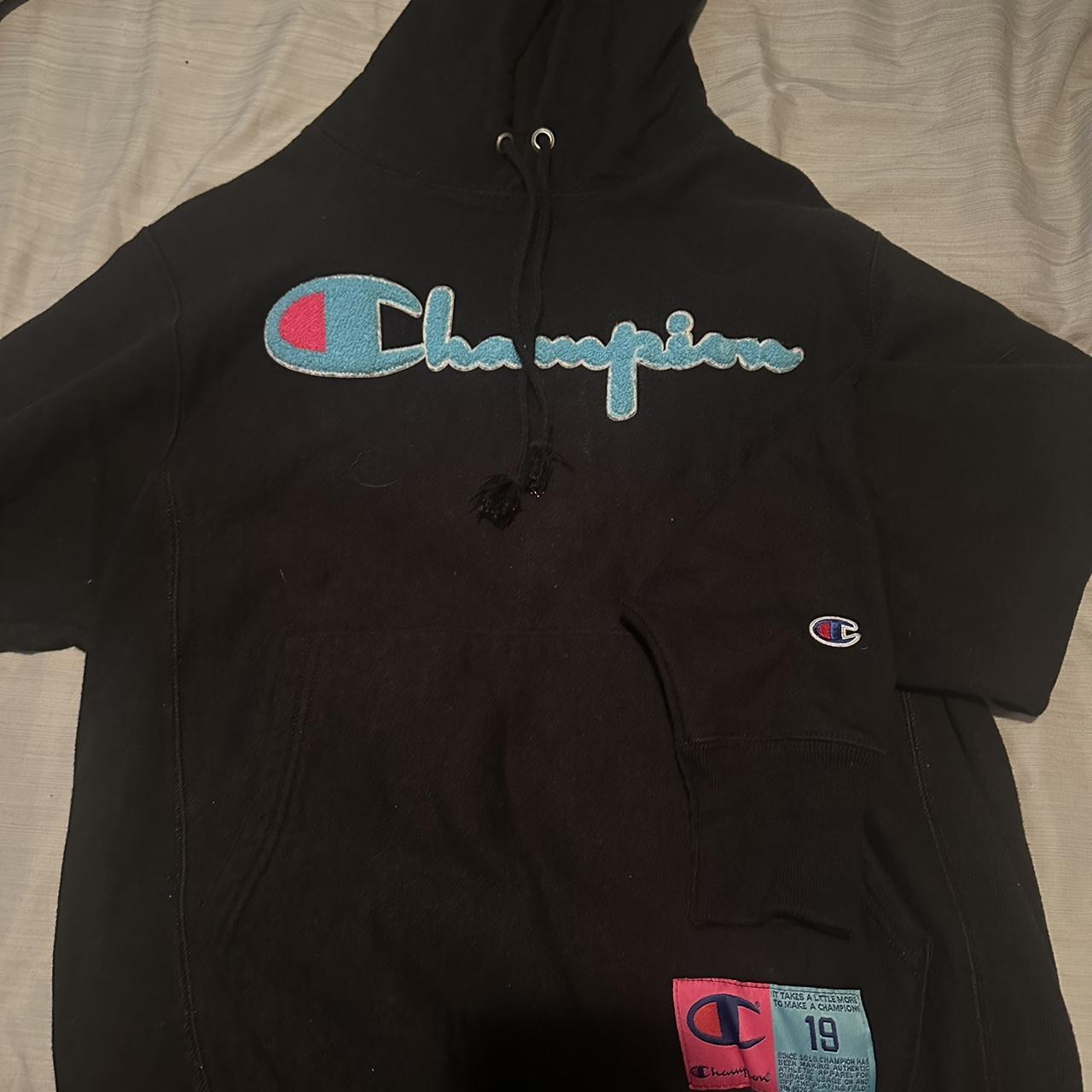 Fuzzy champion store sweater