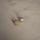 item listed by pres_smith24