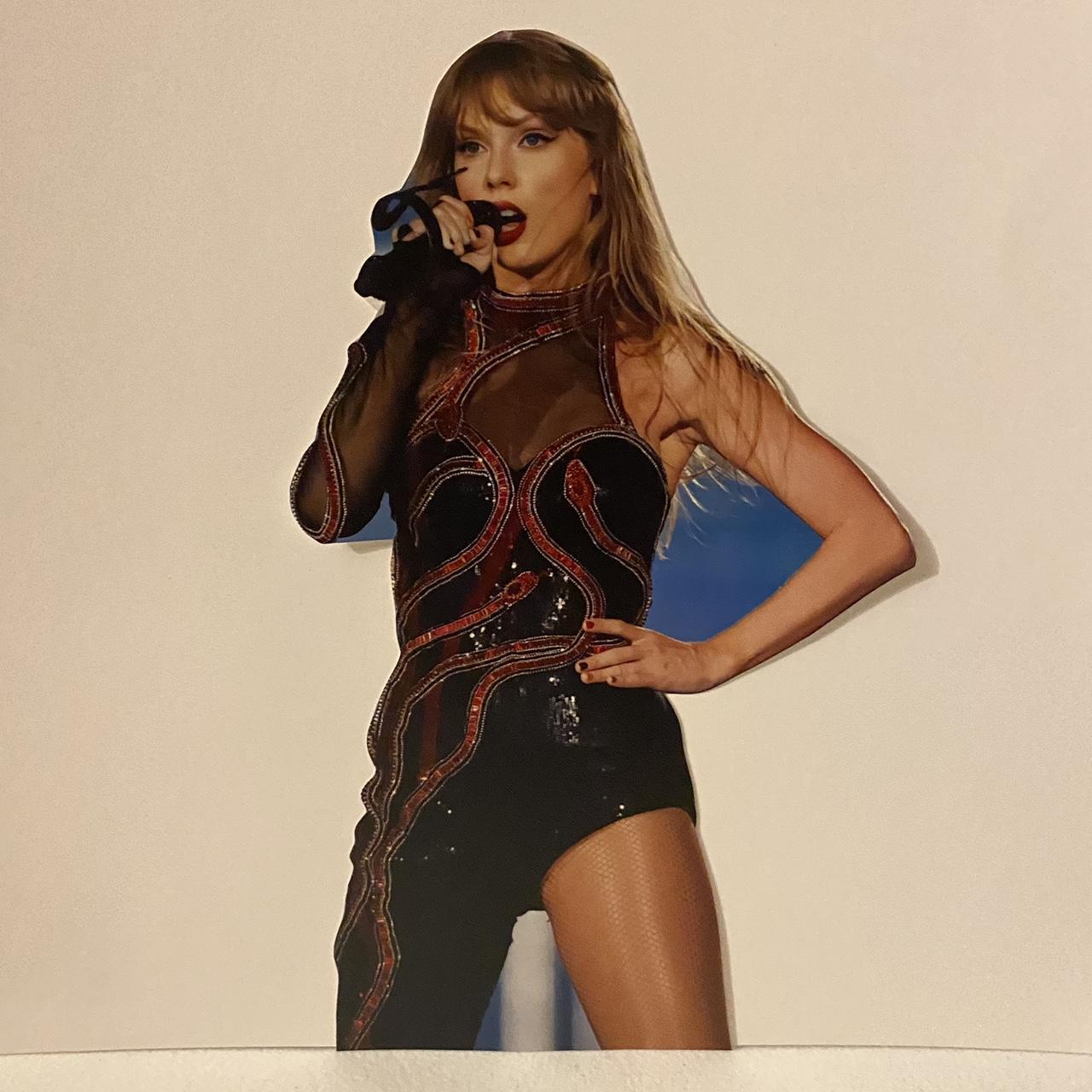 Taylor Swift, Other, Taylor Swift Cardboard Cutout Not Lifesized