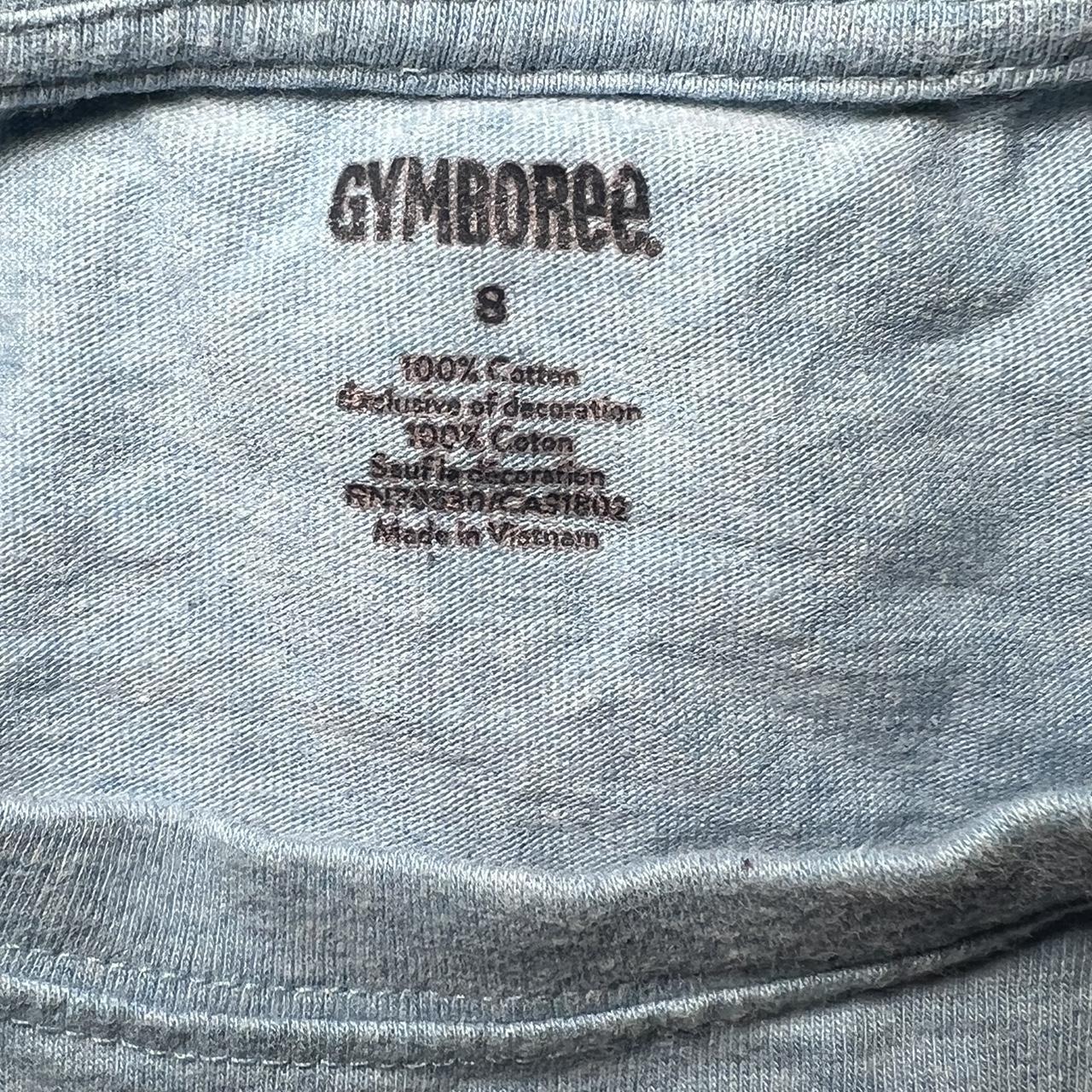 Gymboree Blue T-shirt (2)