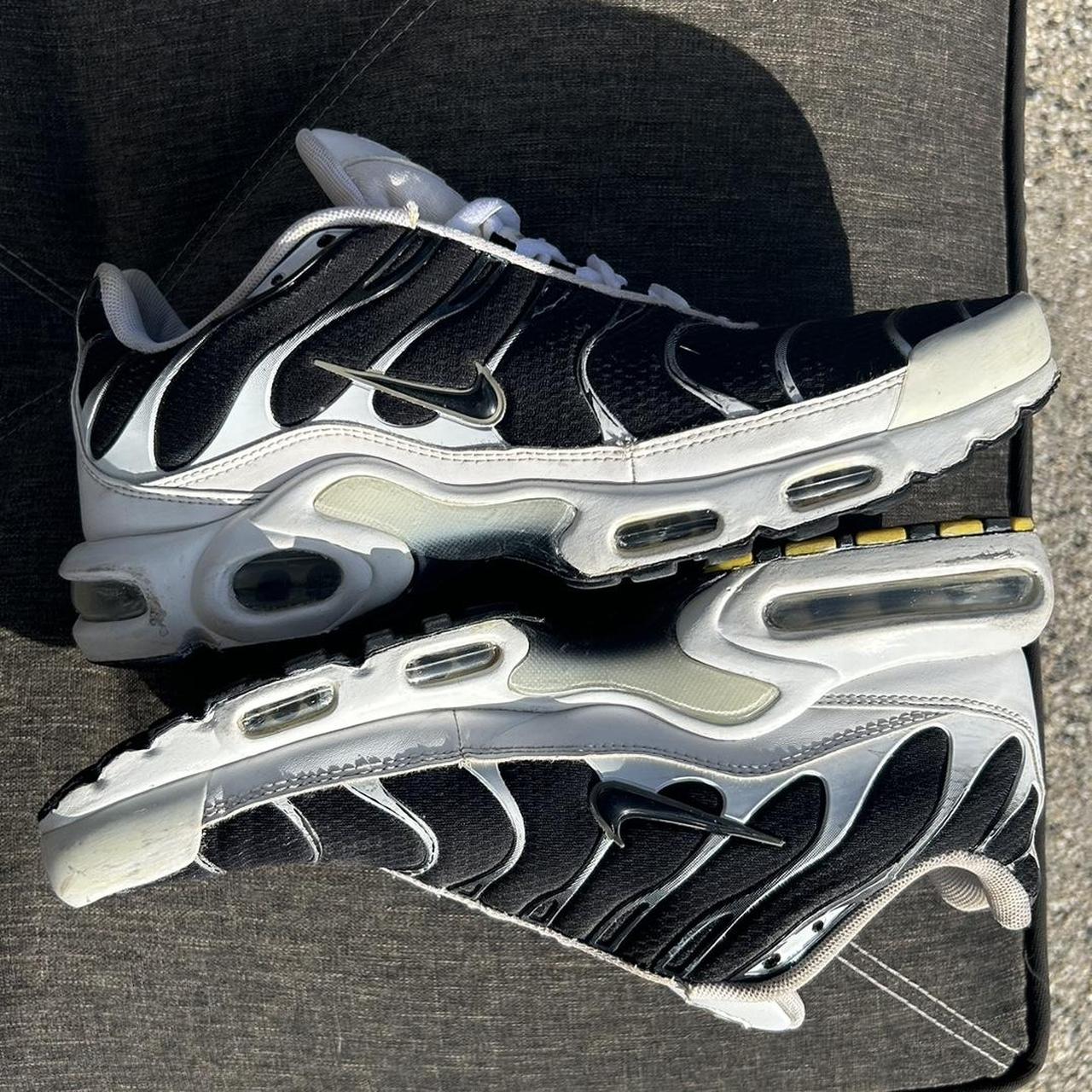 tn killer whale foot locker