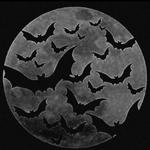crawlingbacktothegrave's profile picture