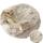 item listed by amias2024
