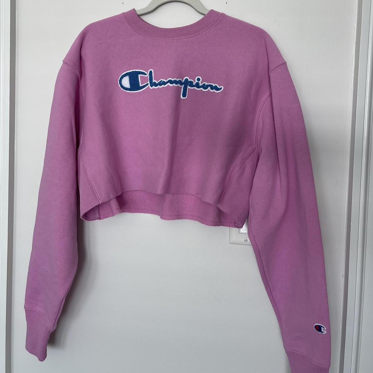 Blue and pink store champion sweatshirt