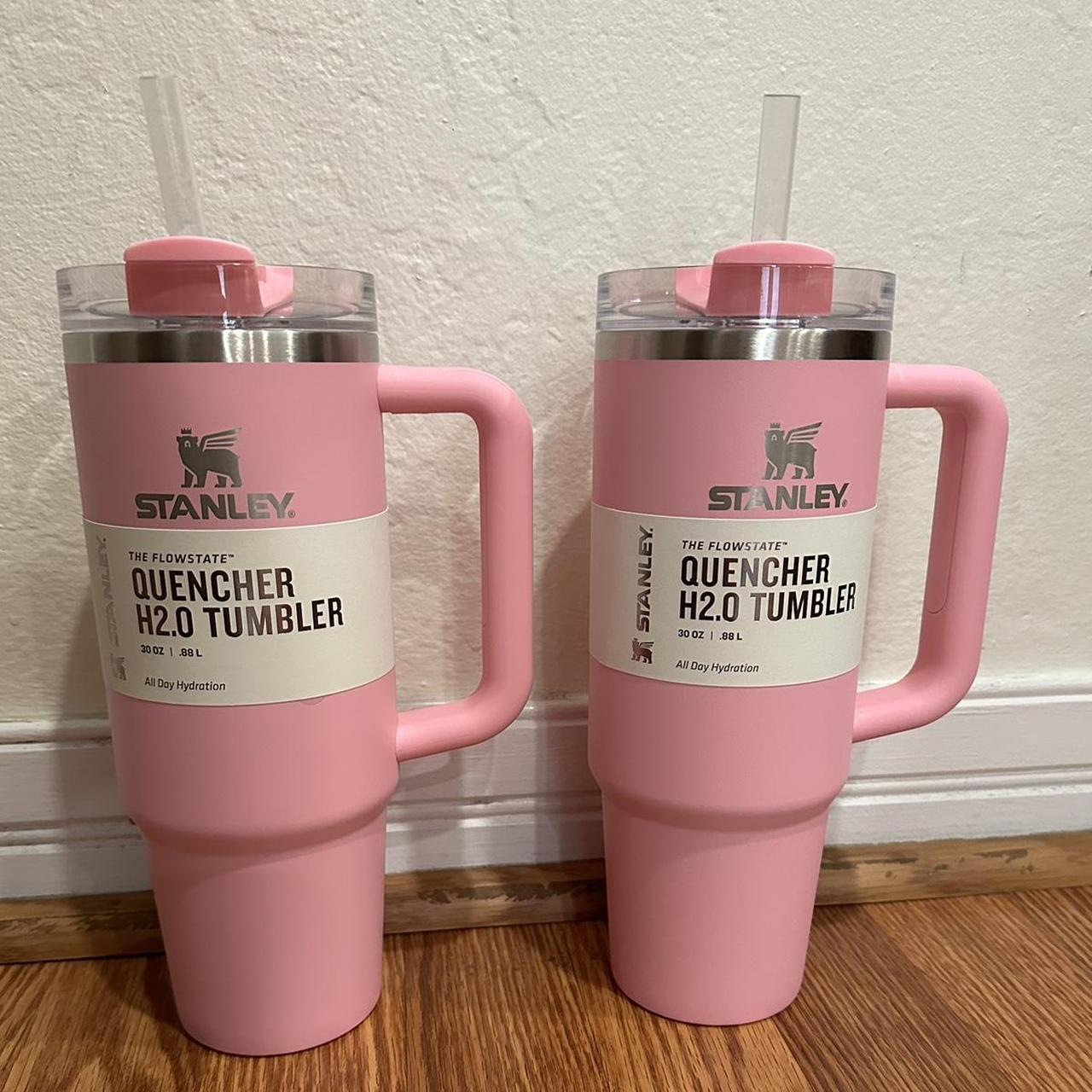 Sizzling pink 30 Oz Stanley cups. Not sold anymore.... - Depop