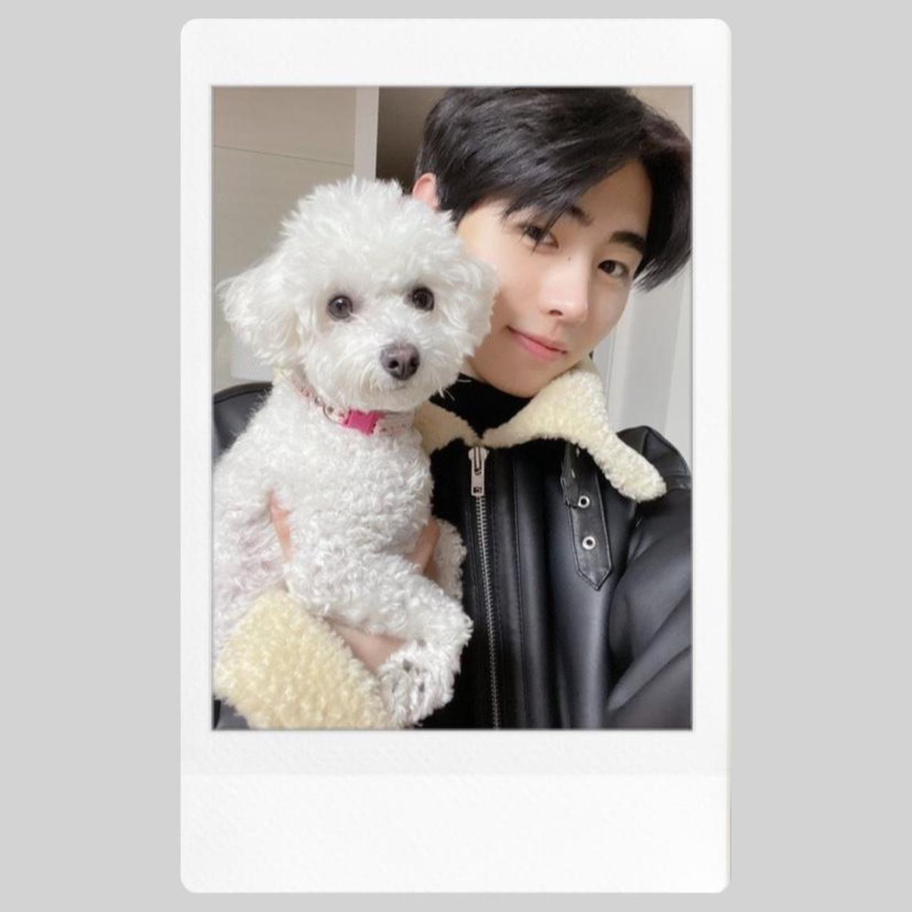 enhypen sunghoon polaroid -printed out by | Depop