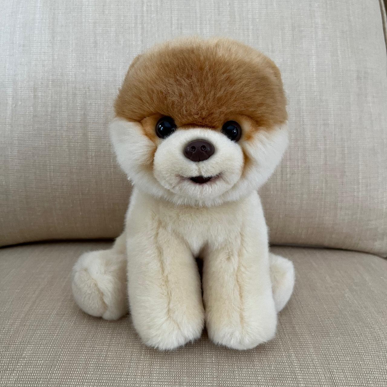 pomeranian teddy boo