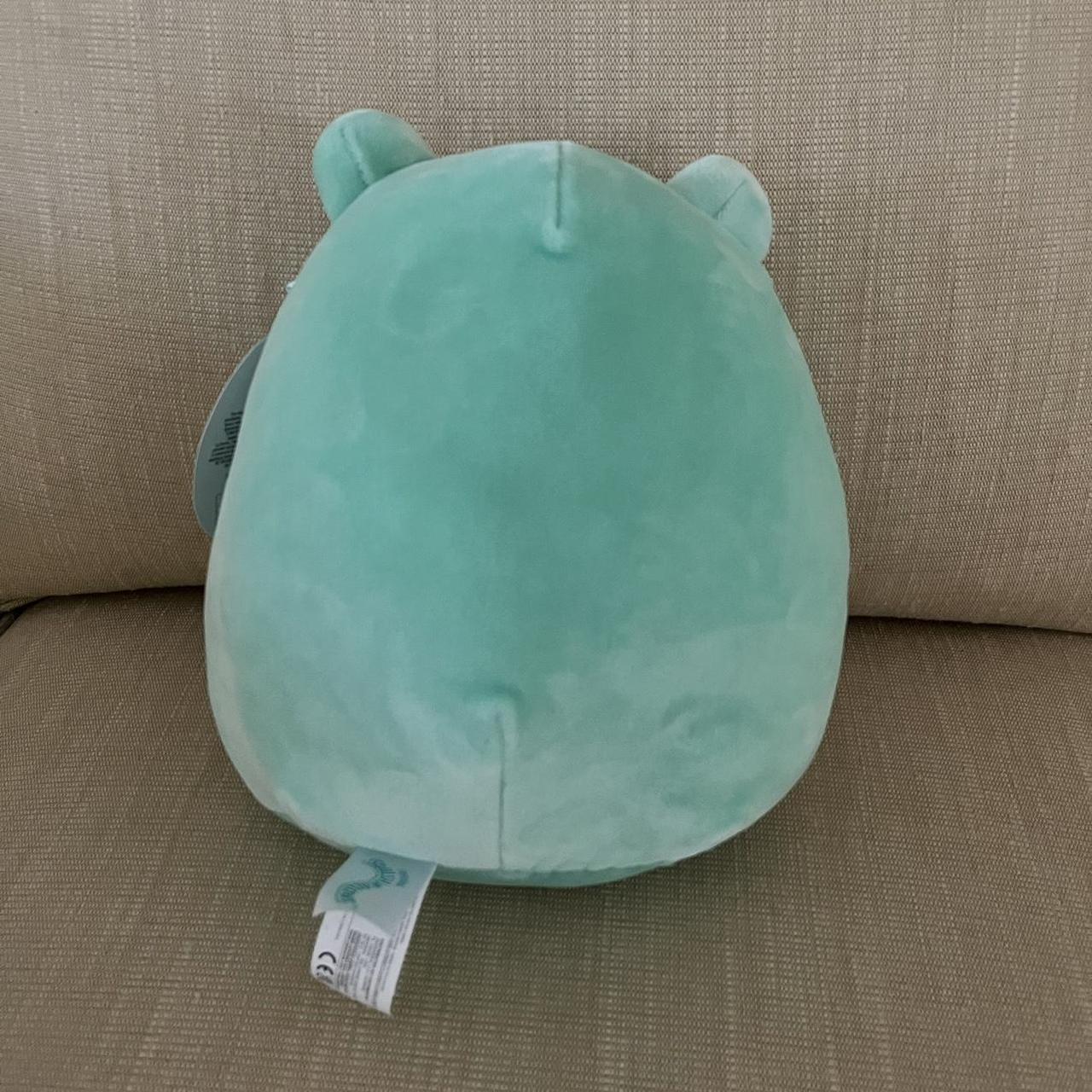 wendy frog squishmallow with floral tummy perfect - Depop