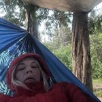 sirmags's profile picture