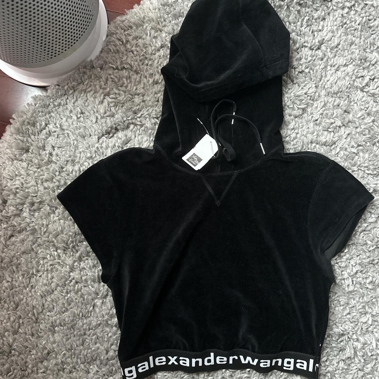 Alexander wang crop online hoodie