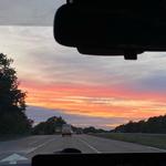 ickle_pickle's profile picture