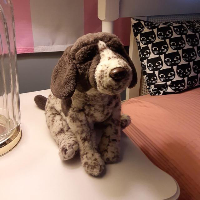 webkinz signature german shorthaired pointer