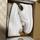 item listed by emilyy_flores