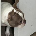 nailsbykaylin's profile picture