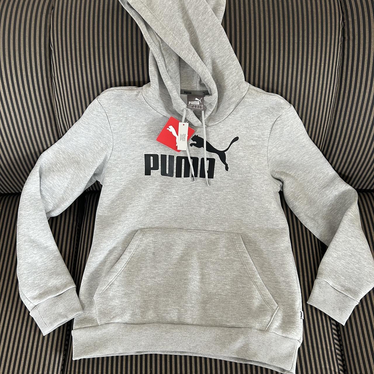 Puma poly on sale fleece hoodie