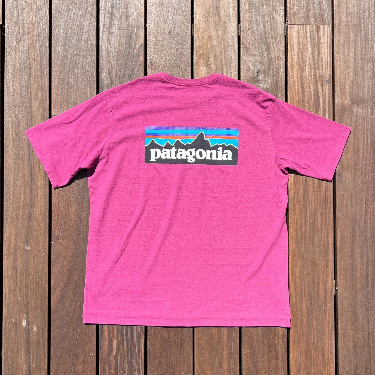 Patagonia Men's multi Tshirt Depop