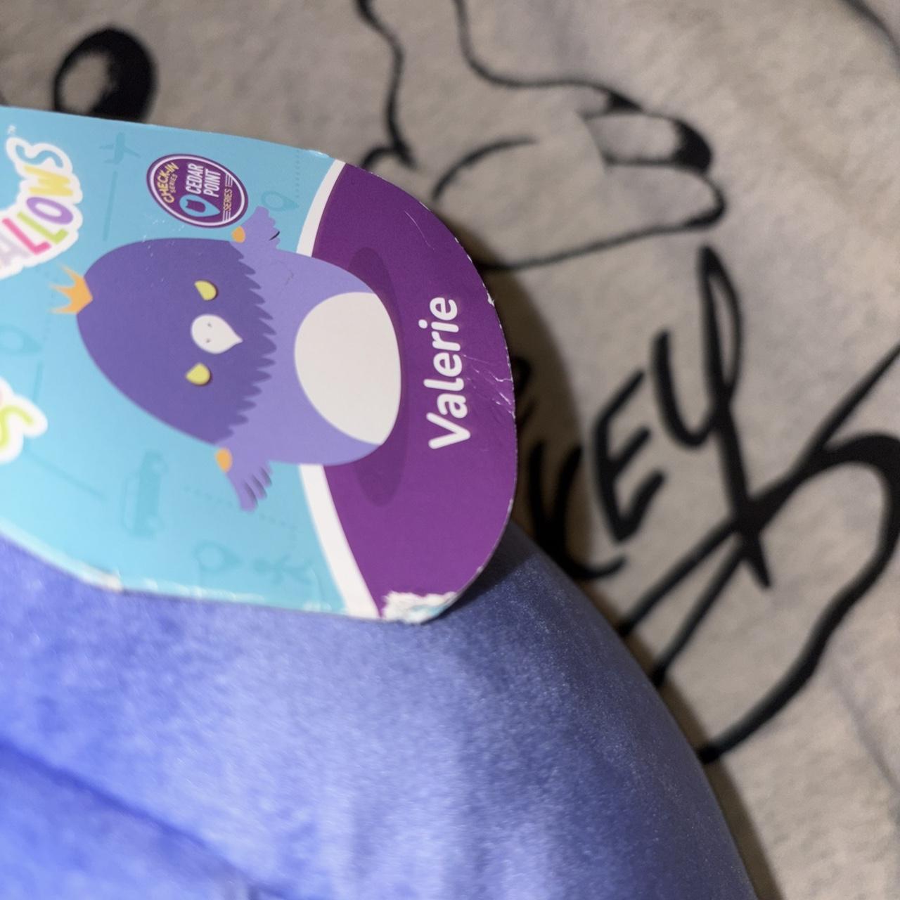 Valerie the Raven Squishmallow (Cedar Point Check... | Depop