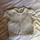 item listed by juleslal