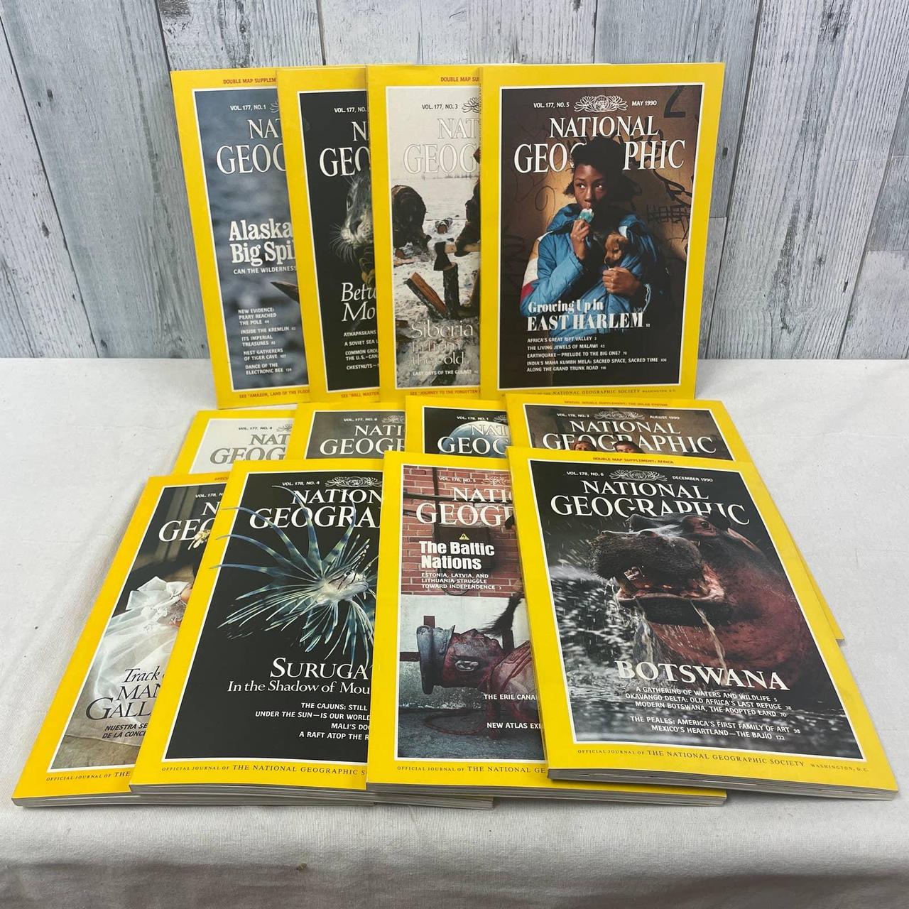 Vintage 1990 National Geographic Magazine FULL Year... - Depop