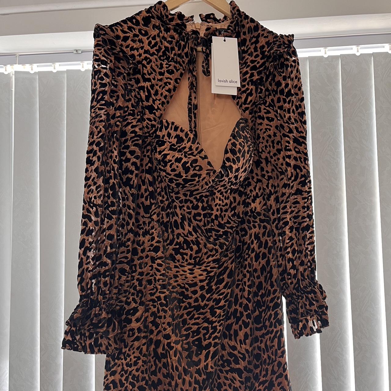 Lavish alice leopard dress hotsell