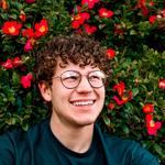 domsalm's profile picture